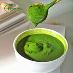 Moringa Leaf Powder Manufacturer - 100% Pure Oleifera for Diet