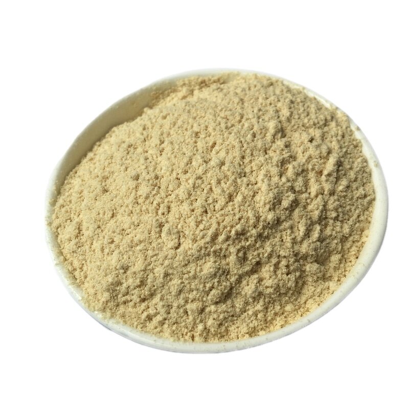Bamboo Extract Powder Manufacturer - Water Soluble Dietary Fiber