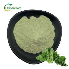 Kale Powder Manufacturer - Superfood Freeze-Dried Leaf Juice Organic
