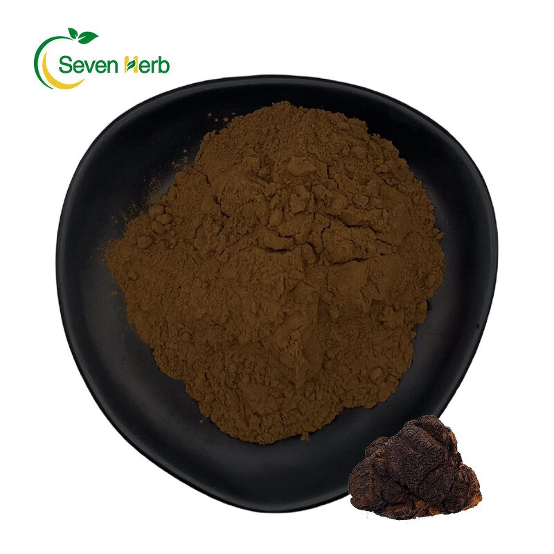 Chaga Mushroom Extract Powder Manufacturer - 100% Pure Natural