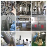 Sunflower Seed Protein Powder Manufacturer - Natural 50%