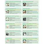 Phellinus Linteus Extract Powder Manufacturer - 10:1 20:1 Organic