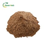 Phellinus Linteus Extract Powder Manufacturer - 10:1 20:1 Organic