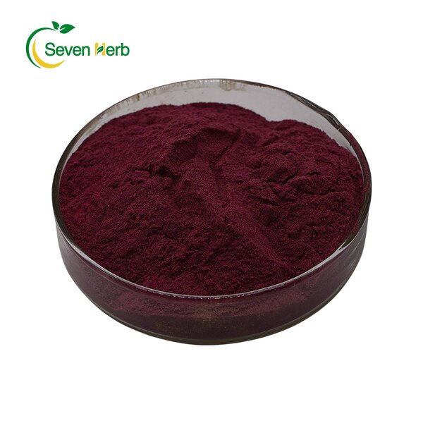 Lingonberry Extract Powder Manufacturer - Fruit for Skin Brightening