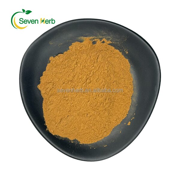 Golden Oyster Extract Powder Manufacturer - 1% Ergothioneine for Skin