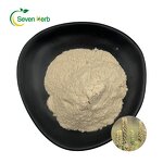Psyllium Husk Powder Manufacturer - 99% Pure Fiber for Weight Loss