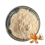 Citrus Fiber Powder Manufacturer - 65% Dietary Fiber Food Grade