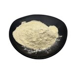 Lipase Powder Manufacturer - Food Grade 50000-200000 U/g Enzyme