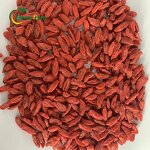 Goji Berries Manufacturer - Chinese Ningxia Wolfberry Dried