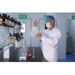 Galium Spurium Manufacturer - Dried Whole Plants Stickwilly