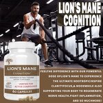 Lion's Mane Capsules Manufacturer - Herbal Extract for Memory OEM