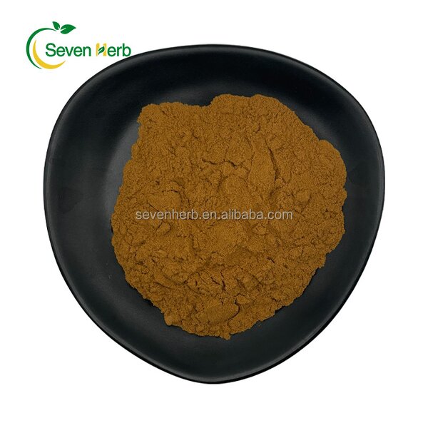 Iceland Moss Extract Powder Manufacturer - 10:1 Cetraria Islandica