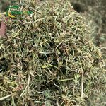 Galium Spurium Manufacturer - Dried Whole Plants Stickwilly