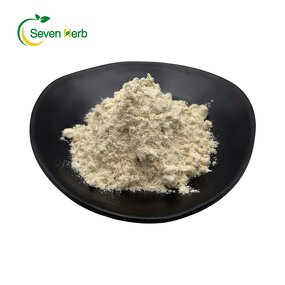 Apricot Kernel Powder Manufacturer - Bitter Almonds Extract