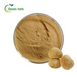 Lion's Mane Extract Powder Manufacturer - Organic 10%-30% Polysaccharides