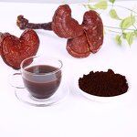 Reishi Mushroom Extract Powder Manufacturer - 30% Polysaccharides Organic