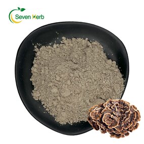 Turkey Tail Extract Powder Manufacturer - Coriolus Versicolor Food Grade