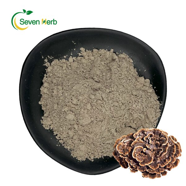 Turkey Tail Extract Powder Manufacturer - Coriolus Versicolor Food Grade