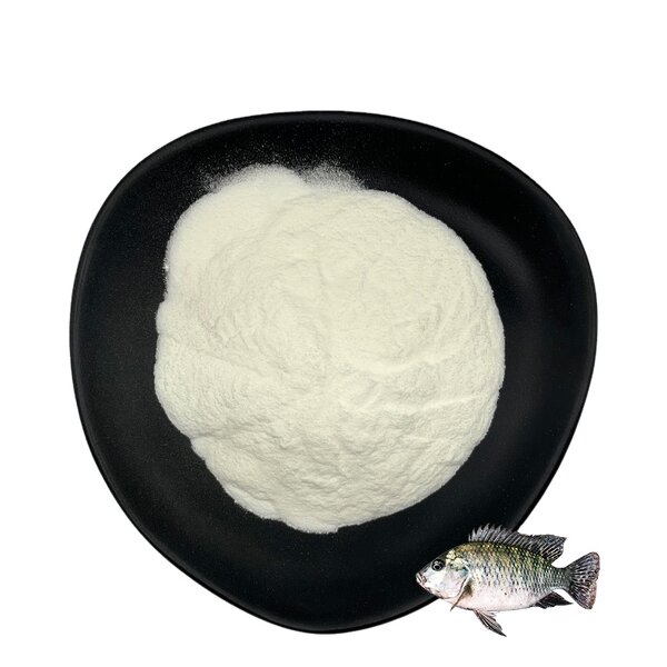 Collagen Peptides Powder Manufacturer - Hydrolyzed Fish & Bovine