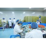 Matcha Powder Manufacturer - Organic Custom Ceremonial Grade