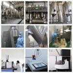 Fructooligosaccharides Powder Manufacturer - FOS 95% CAS 308066-66-2