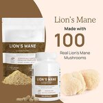 Lion's Mane Capsules Manufacturer - Herbal Extract for Memory OEM