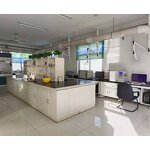 Red Cabbage Powder Manufacturer - Anthocyanin Fruit Juice Extract