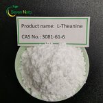 L-Theanine Powder Manufacturer - 99% Purity for Supplements