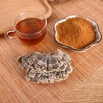 Turkey Tail Extract Powder Manufacturer - Coriolus Versicolor 50% Polysaccharide