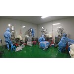 Lion's Mane Extract Powder Manufacturer - Organic 20%-30% Polysaccharides