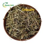 Galium Spurium Manufacturer - Dried Whole Plants Stickwilly