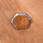 Turkey Tail Extract Powder Manufacturer - Coriolus Versicolor 50% Polysaccharide