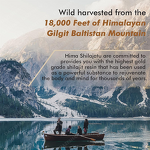 Shilajit Resin Manufacturer - Pure Himalayan Organic for Adults