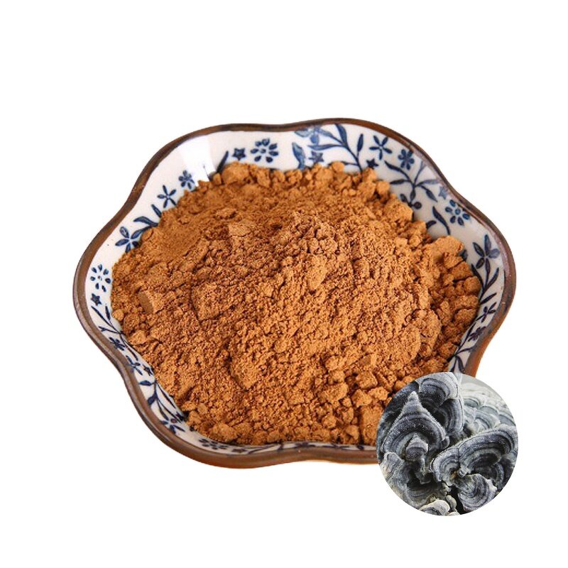 Turkey Tail Extract Powder Manufacturer - Coriolus Versicolor 50% Polysaccharide