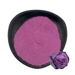 Red Cabbage Powder Manufacturer - Anthocyanin Fruit Juice Extract