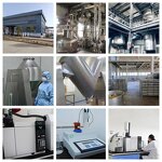 L-Carnosine Powder Manufacturer - Zinc Carnosine for Supplements