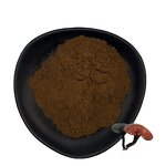 Shiitake Extract Powder Manufacturer - Organic 10%-50% Polysaccharides
