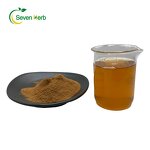 Jujube Seed Extract Powder Manufacturer - Spine Date Ziziphus Jujuba