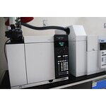 Mushroom Coffee Powder Manufacturer - Instant Reishi Ganoderma Custom