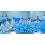 Blue Lotus Flowers Manufacturer - Dried Ground Whole Organic