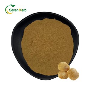 Mushroom Coffee Powder Manufacturer - Instant Reishi Ganoderma Custom