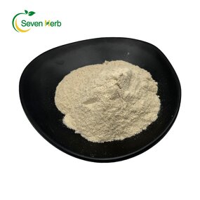 Psyllium Husk Powder Manufacturer - 99% Pure Fiber for Weight Loss