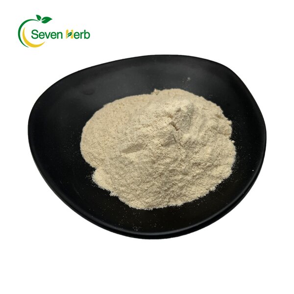 Psyllium Husk Powder Manufacturer - 99% Pure Fiber for Weight Loss
