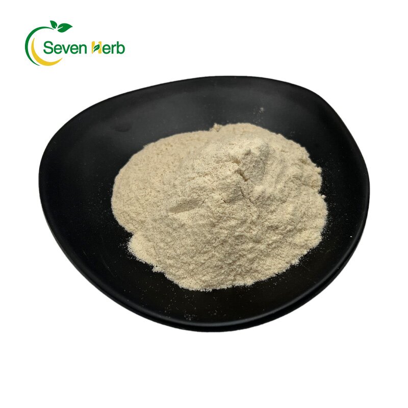 Psyllium Husk Powder Manufacturer - 99% Pure Fiber for Weight Loss