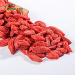 Goji Berries Manufacturer - Chinese Ningxia Wolfberry Dried
