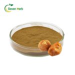 Lion's Mane Extract Powder Manufacturer - Hericium Erinaceus Organic