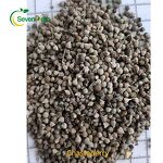 Chasteberry Seeds Manufacturer - Vitex Agnus Castus Wholesale