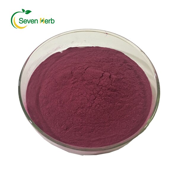 Cranberry Powder Manufacturer - Superfood Juice Extract Supplement