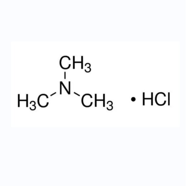 Trimethylamine Hydrochloride - Manufacturer - 99.5% CAS 593-81-7 Chemical Intermediate