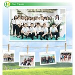 Eosin Y - Manufacturer - Acid Red 87 CAS 17372-87-1 Biological Stain